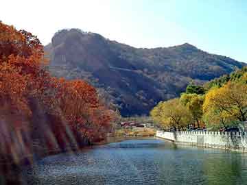 新澳天天开奖资料大全旅游团，青浦男科